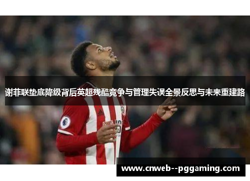 谢菲联垫底降级背后英超残酷竞争与管理失误全景反思与未来重建路